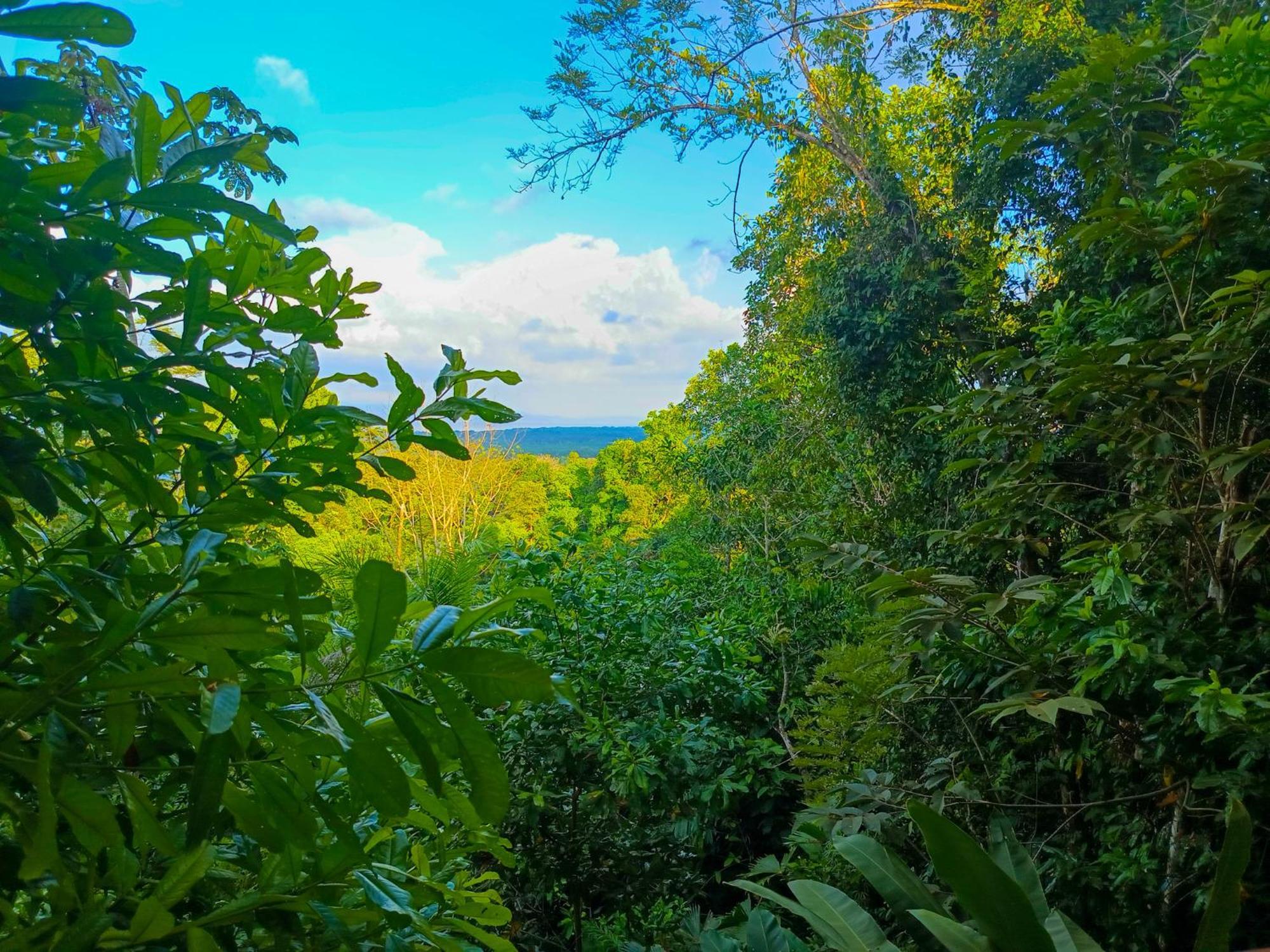 Osa Private Renting House-Villas-Tented-Best Views-Nature-Comfort Пуэрто-Хименес Экстерьер фото