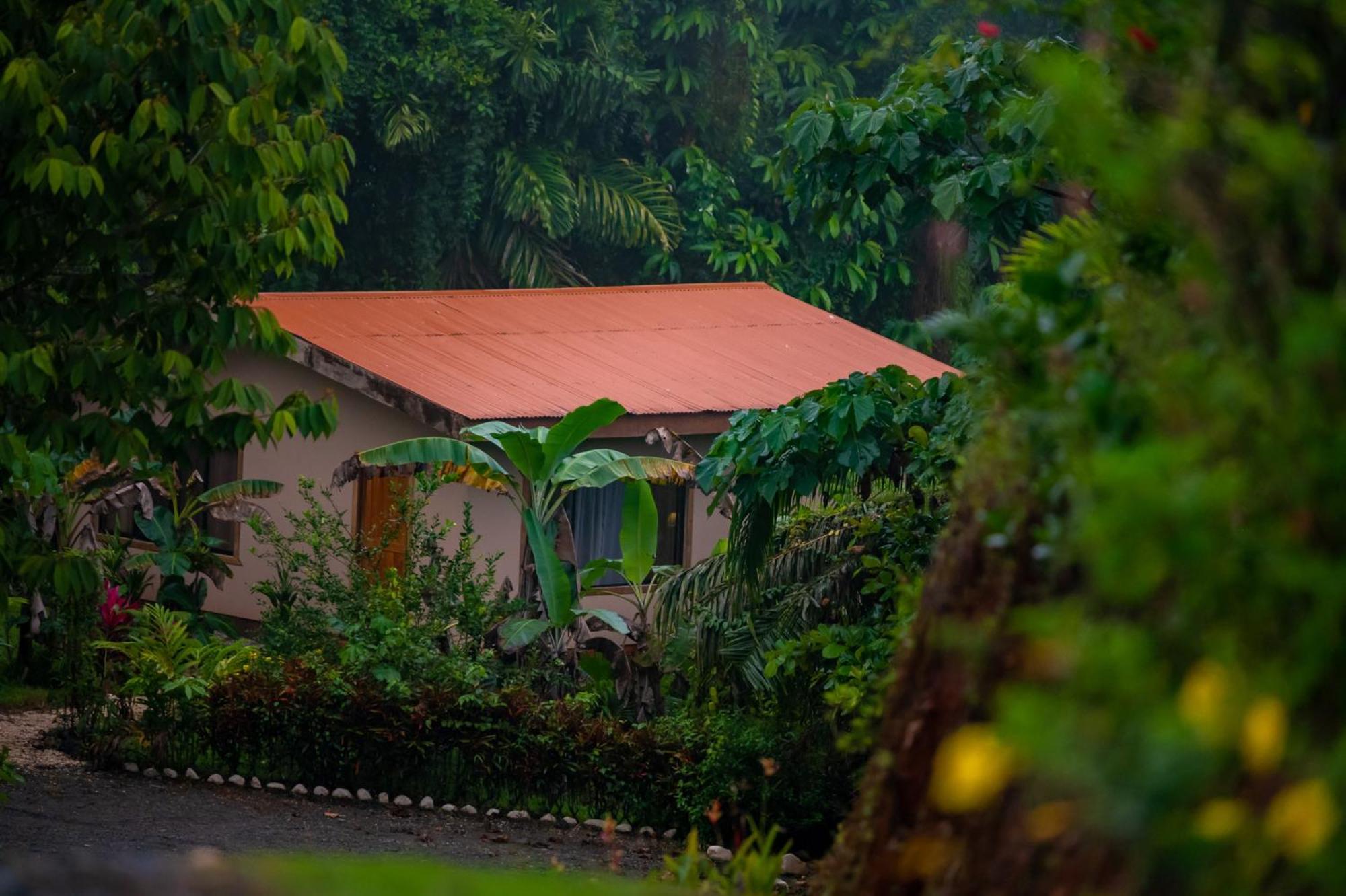 Osa Private Renting House-Villas-Tented-Best Views-Nature-Comfort Пуэрто-Хименес Экстерьер фото
